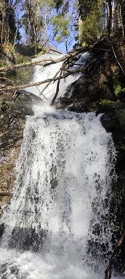 698ed2ce0883d