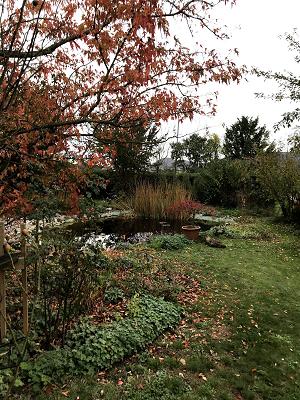 698ed3f576c46