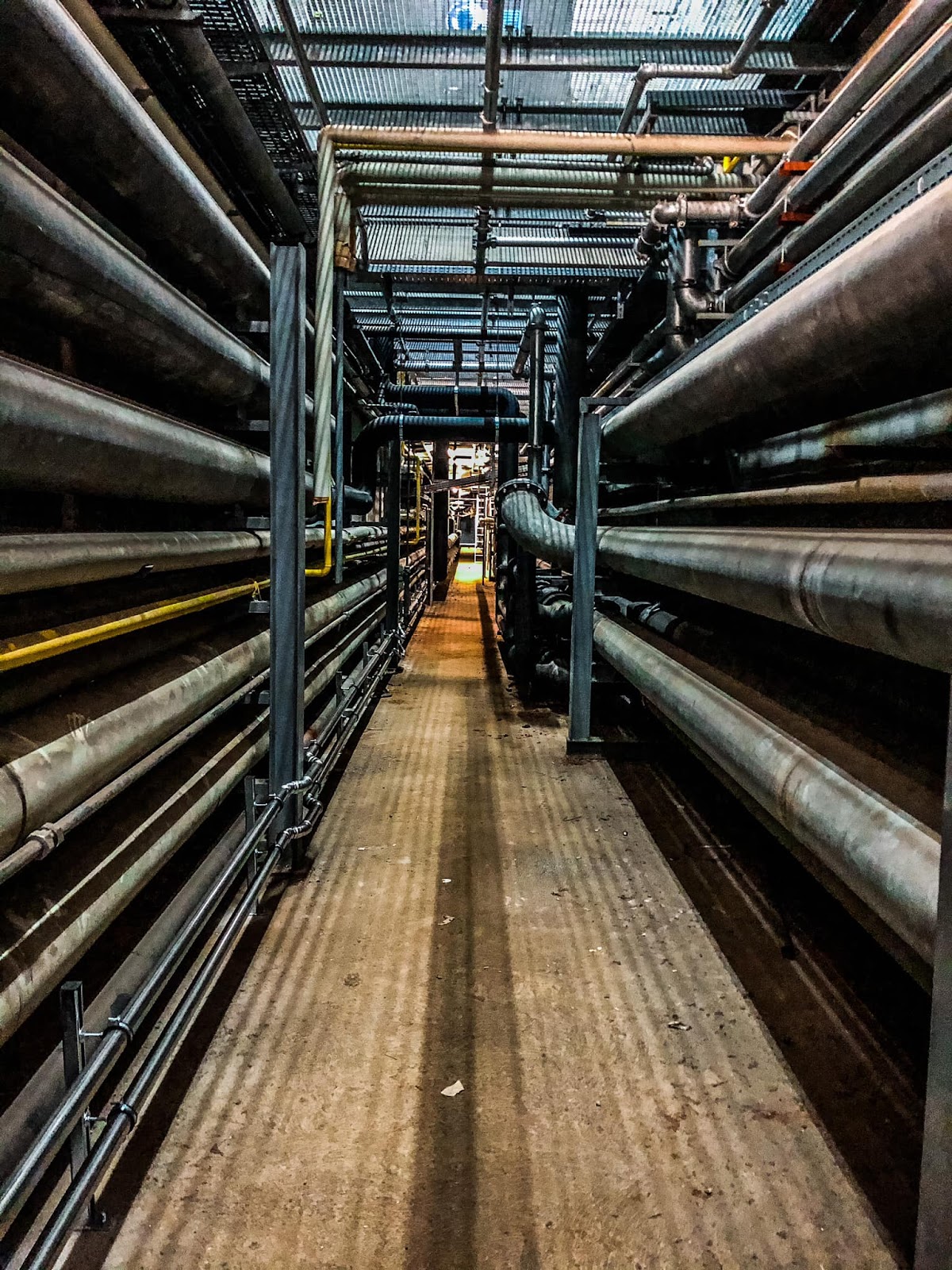 698f0b98e8612