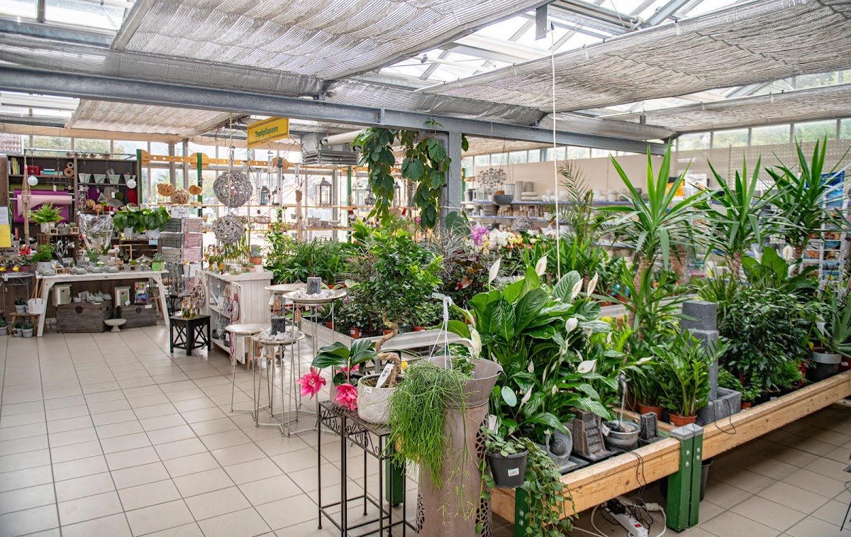 698f102c09d76