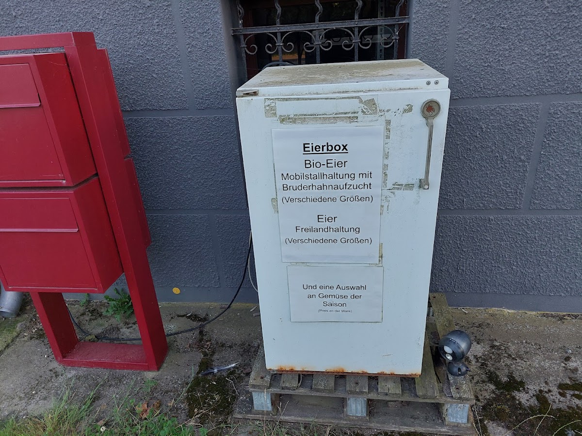 698eba54614ca