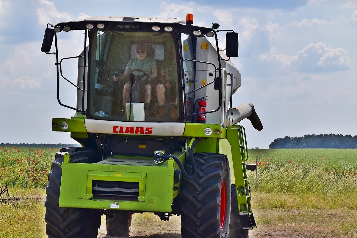 698eba54a4429