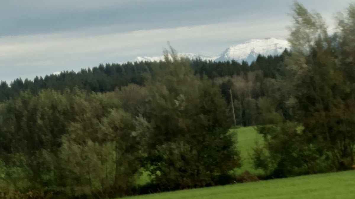 698f23a517747