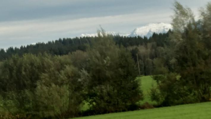 698f23a517747