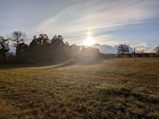 698ebb9c1f517