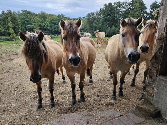 698f4f2cd36ae