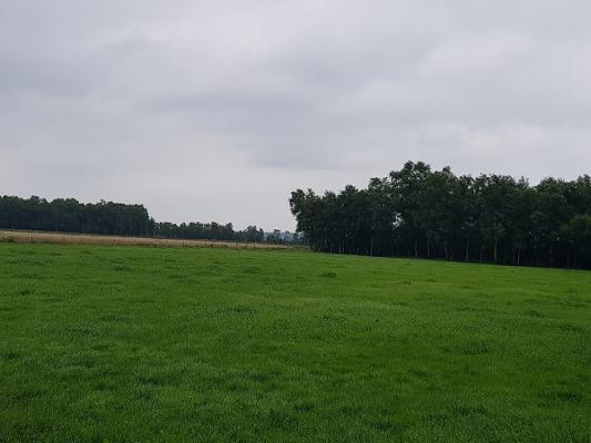 698f53378e545